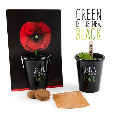 Kit Plante Coquelicot