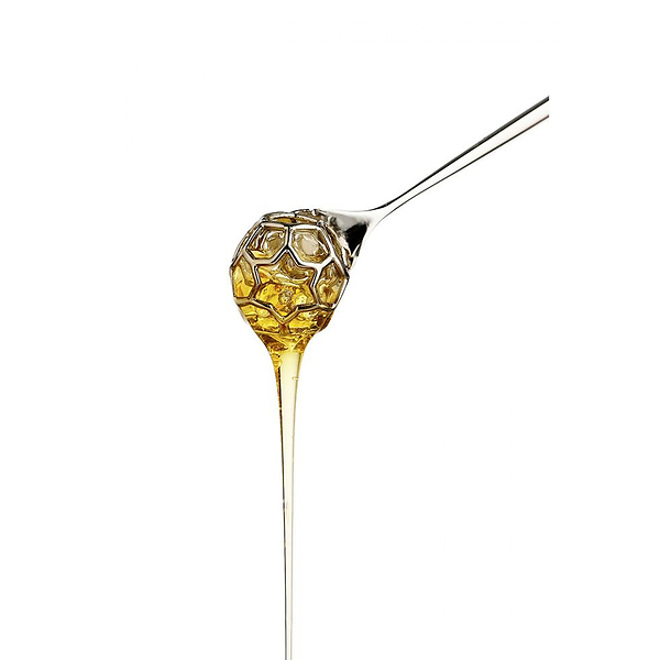 Honey dipper acacia