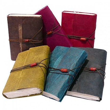 Travel diary Arpenteur