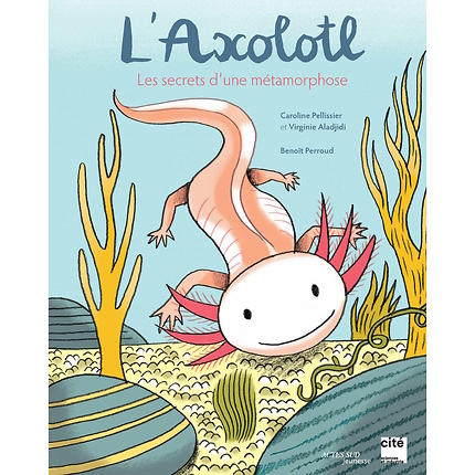 L Axolotl - Les Secrets D Une Metamorphose