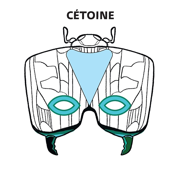 Métamorphoses : Kit masques augmentés pochette orange (axolotl, cétoine, grenouille)