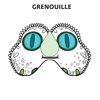 Métamorphoses : Kit masques augmentés pochette orange (axolotl, cétoine, grenouille)