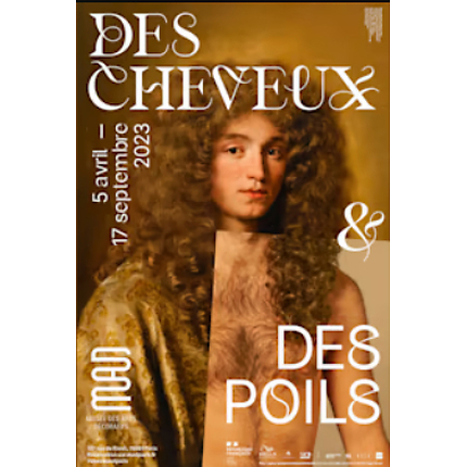 Affiche Des cheveux et des poils