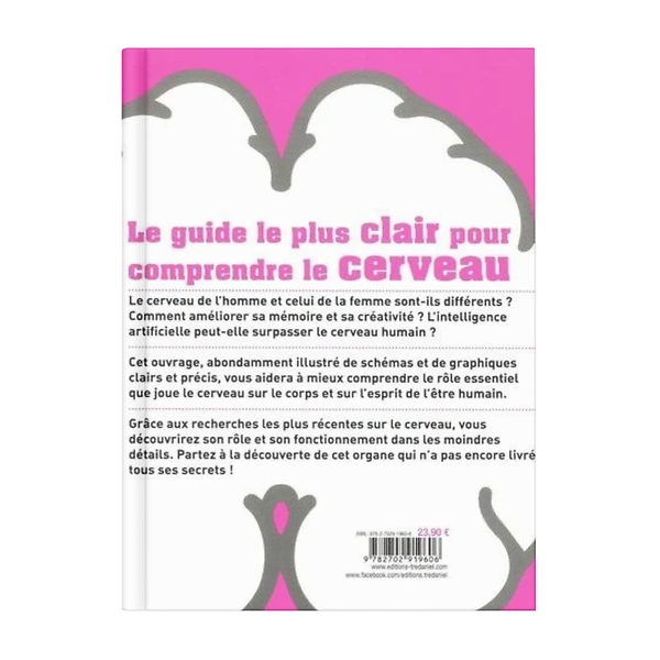 Le Cerveau Comment Ca Marche