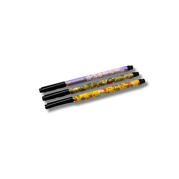 Stylo Caligraphique Couleur Aléatoire