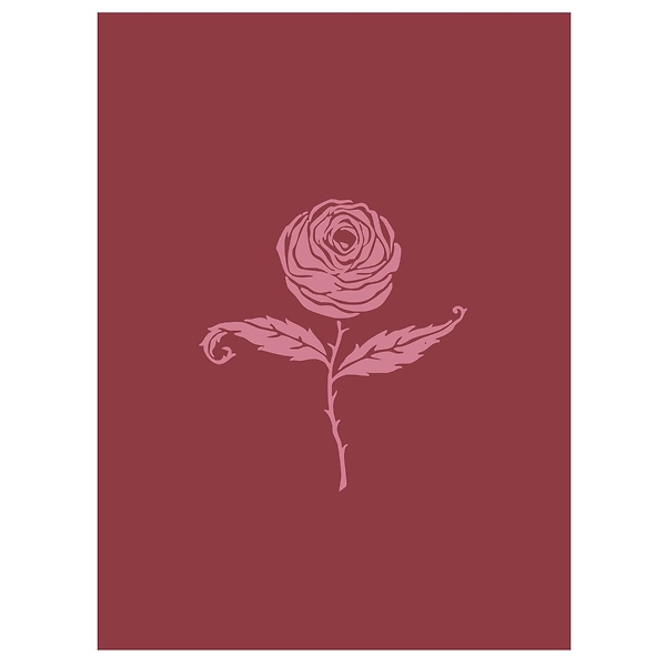 Affiche 30 x 40 - Rose