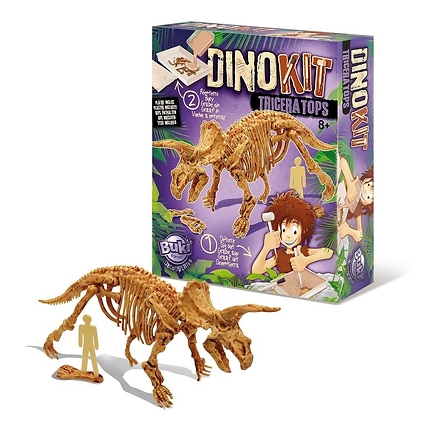 Triceratops Dino kit