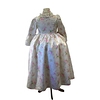 Pompadour dress costume