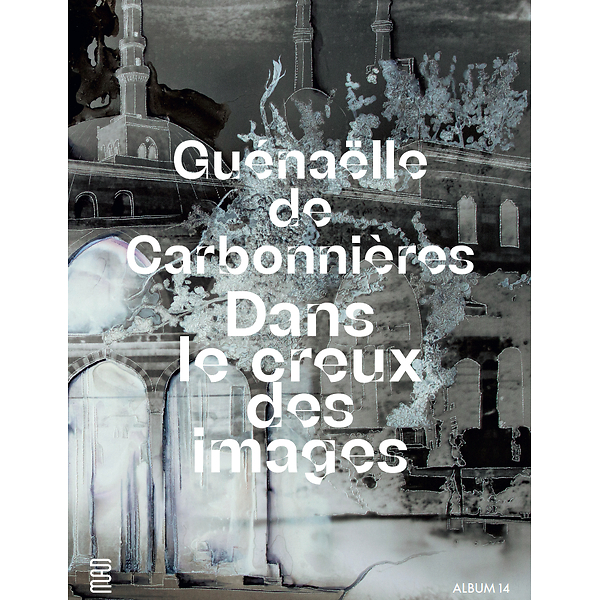 Guénaëlle de Carbonnières. Dans le creux des images