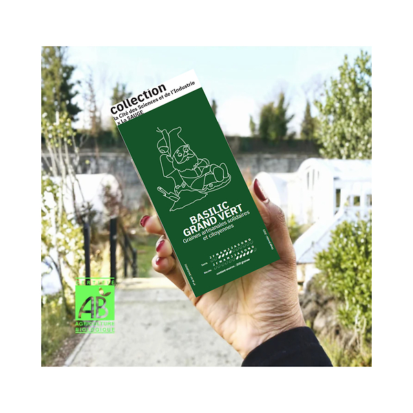 Basilic Grand Vert - La SAUGE x La Cité