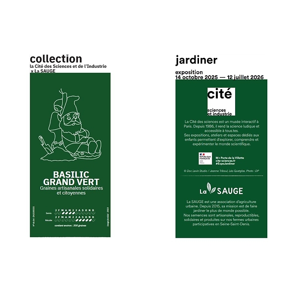 Basilic Grand Vert - La SAUGE x La Cité