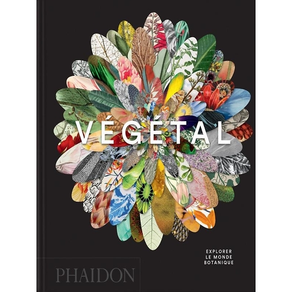 Plant Life - Explore the Botanical World