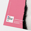 Pink 40 × 60 cm ChatFruit Salad Poster - Jeux de chats