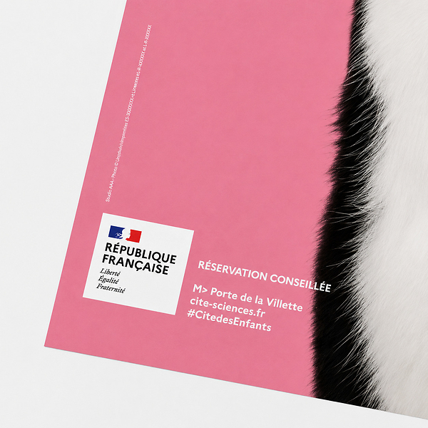Pink 40 × 60 cm ChatFruit Salad Poster - Jeux de chats