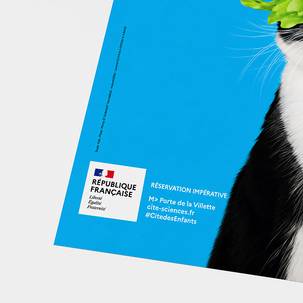 Blue 40 × 60 cm ChatFruit Salad Poster - Jeux de chats