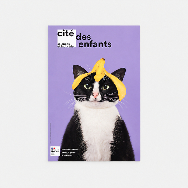 Affiche ChatGlisse 40x60cm Violet - Jeux de chats