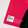 Affiche ChatCorn 40x60cm Rouge - Jeux de chats